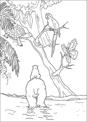 Desenho de Urso Polar para colorir e imprimir: número 29