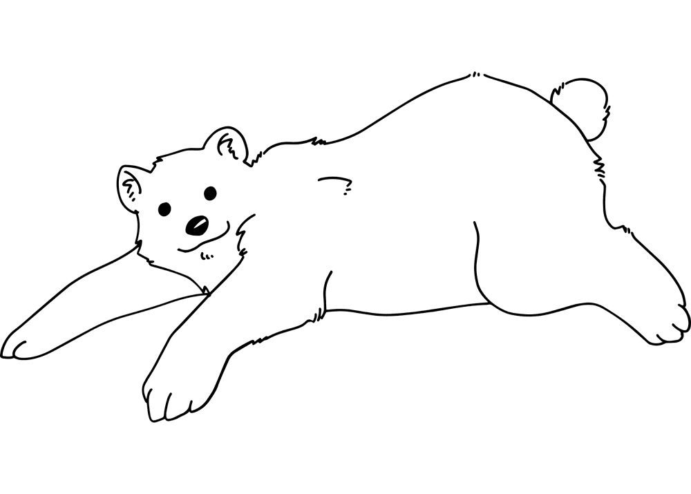 Desenho de Urso Polar para colorir e imprimir: número 30