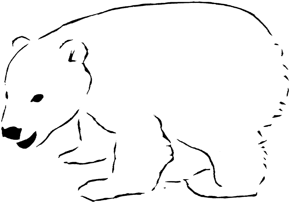 Desenho de Urso Polar para colorir e imprimir: número 32