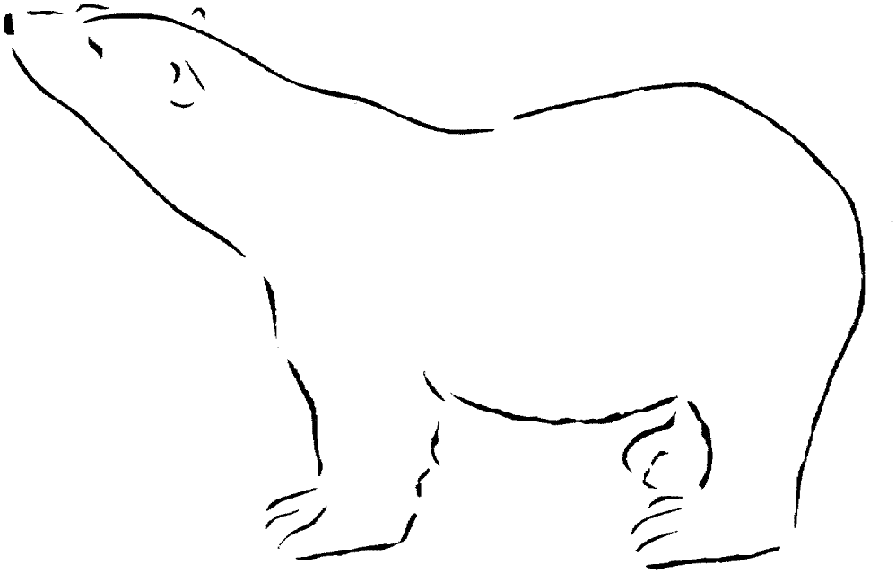 Desenho de Urso Polar para colorir e imprimir: número 33