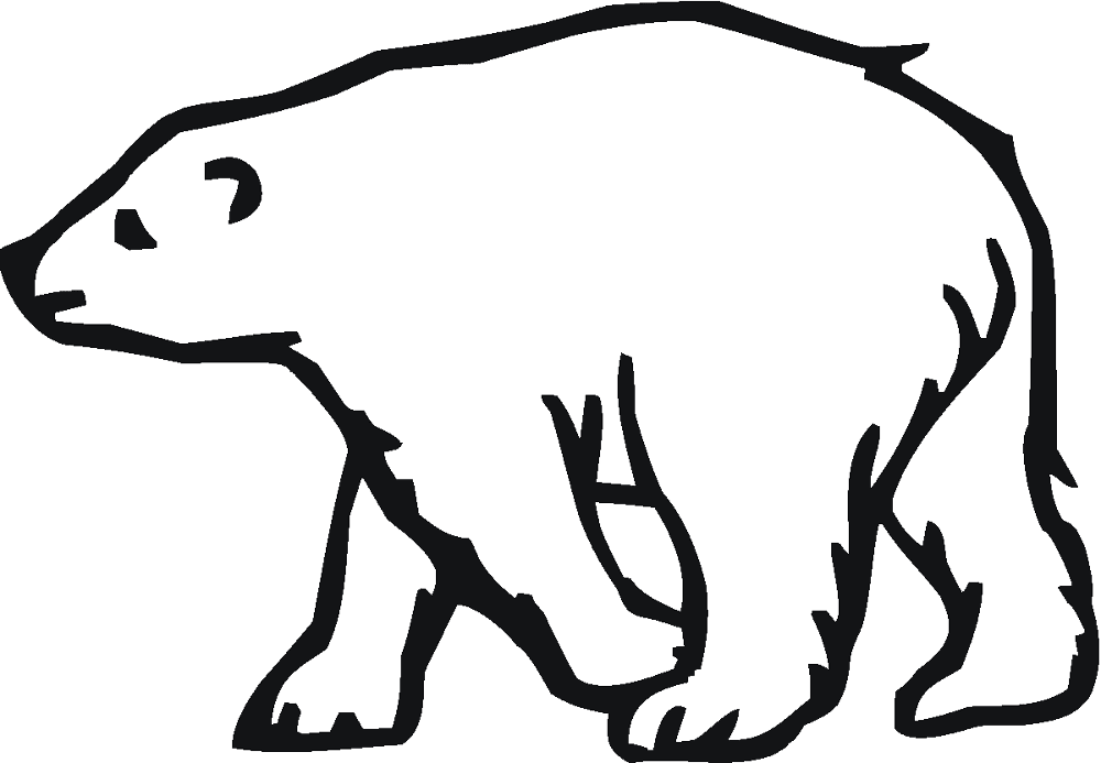 Desenho de Urso Polar para colorir e imprimir: número 35