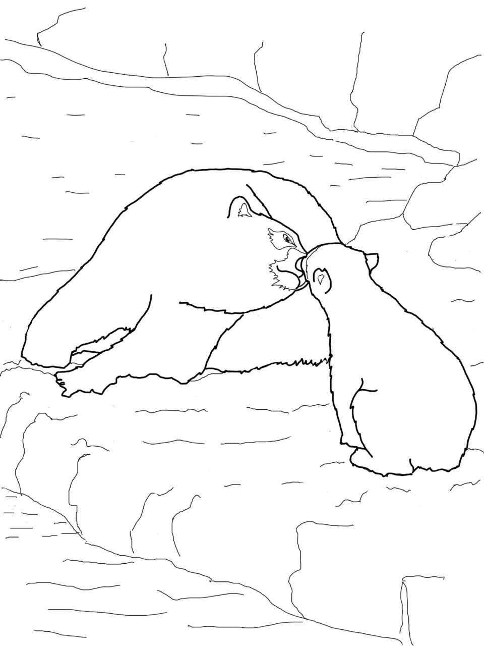 Desenho de Urso Polar para colorir e imprimir: número 43