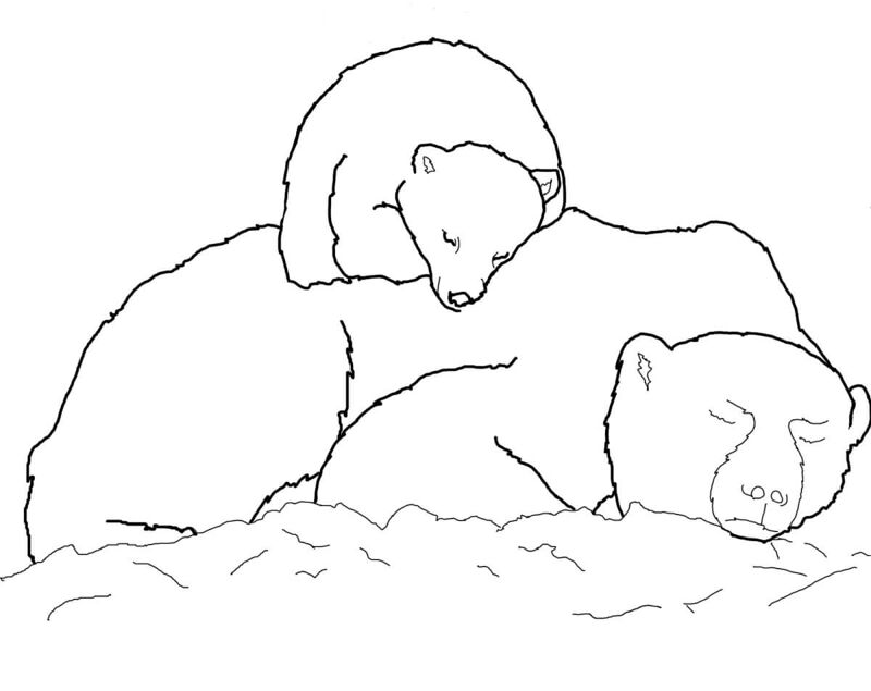 Desenho de Urso Polar para colorir e imprimir: número 47