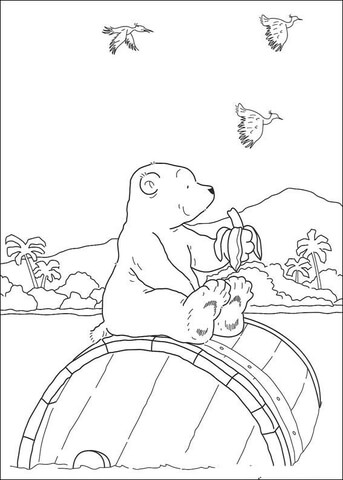 Desenho de Urso Polar para colorir