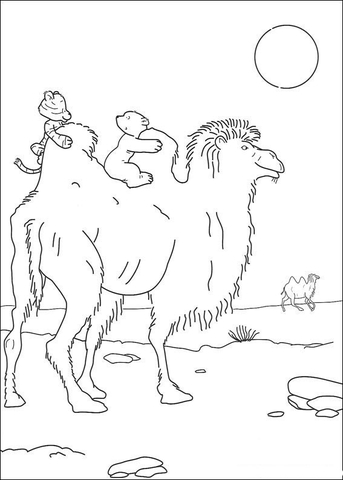 Desenho de Urso Polar para colorir