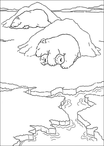Desenho de Urso Polar para colorir