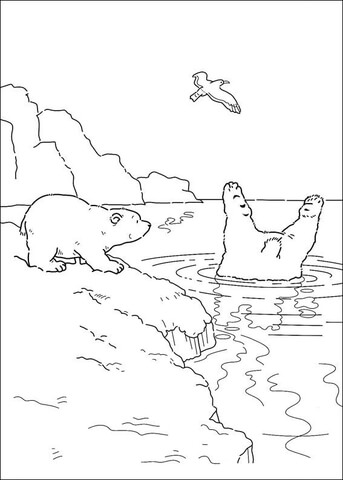 Desenho de Urso Polar para colorir