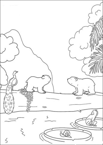 Desenho de Urso Polar para colorir