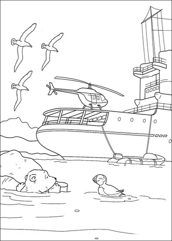 Desenho de Urso Polar para colorir