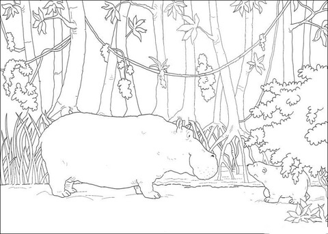 Desenho de Urso Polar para colorir