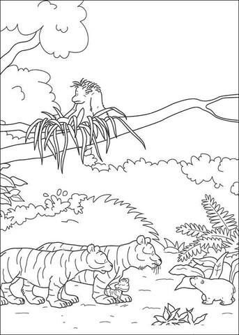 Desenho de Urso Polar para colorir