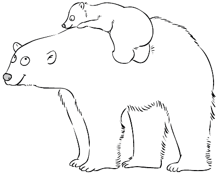 Desenho de Urso Polar para colorir