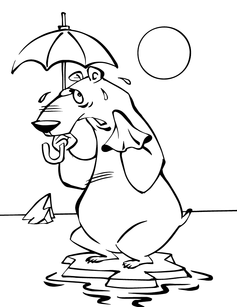 Desenho de Urso Polar para colorir