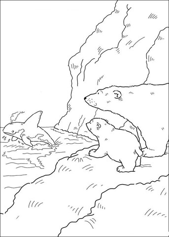 Desenho de Urso Polar para colorir
