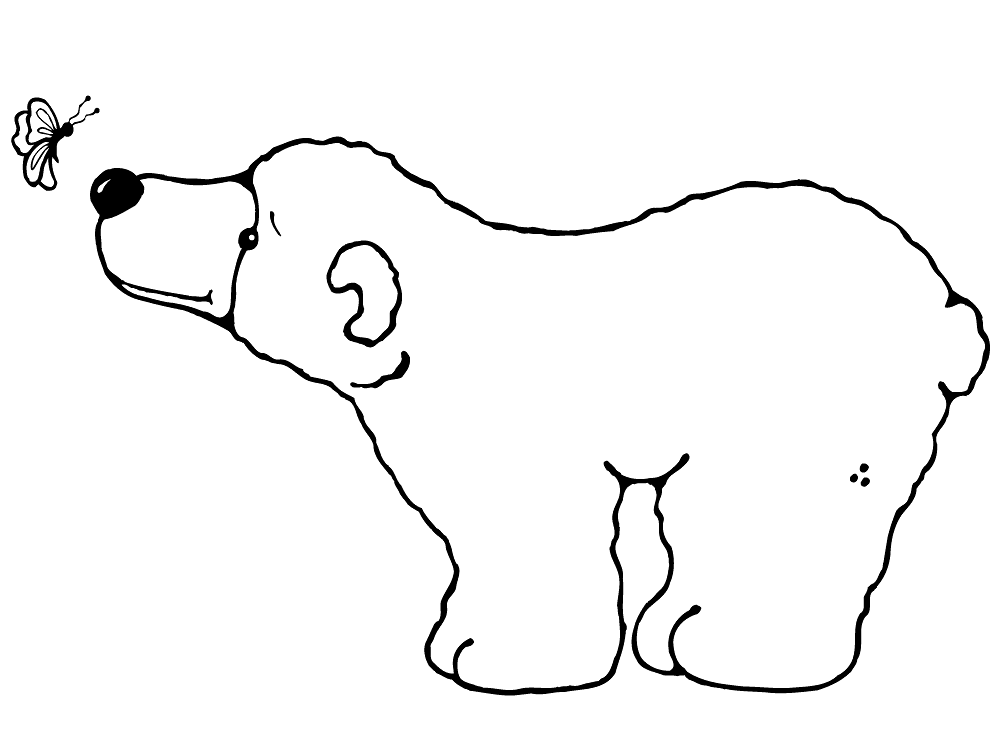 Desenho de Urso Polar para colorir