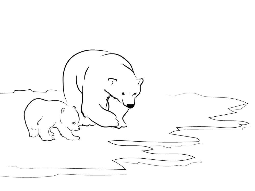 Desenho de Urso Polar para colorir