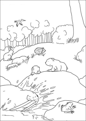 Desenho de Urso Polar para colorir