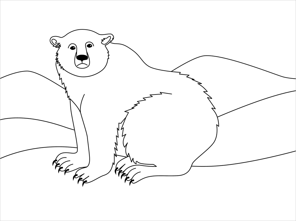 Desenho de Urso Polar para colorir