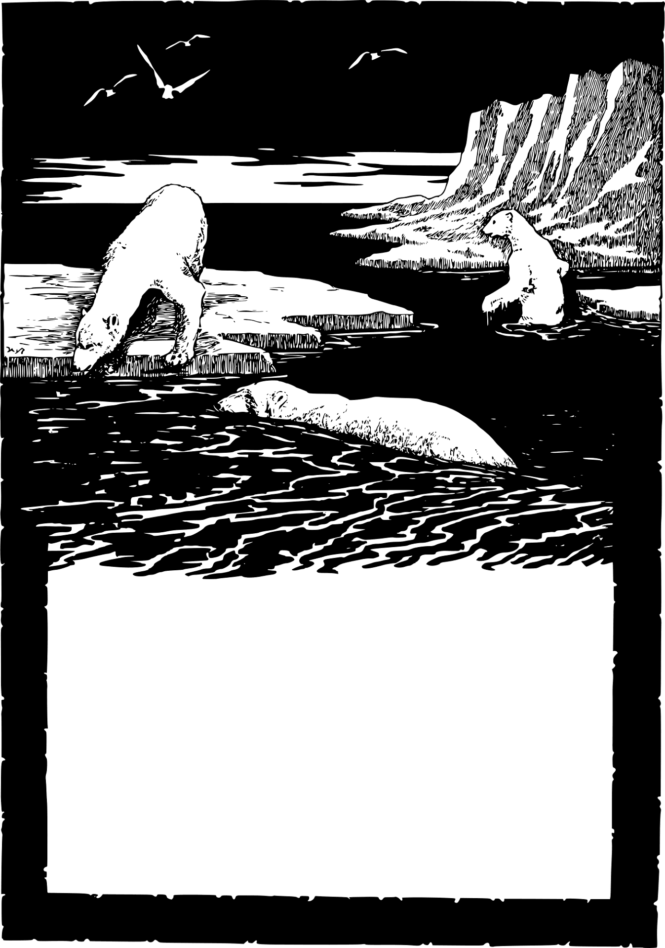 Desenho de Urso Polar para colorir