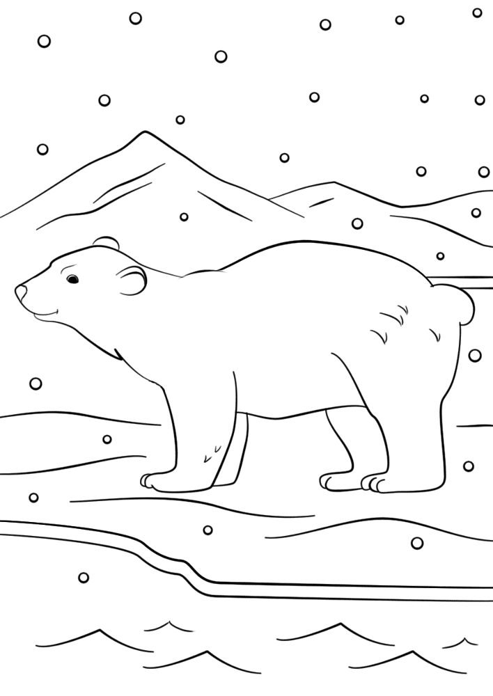 Desenho de Urso Polar para colorir
