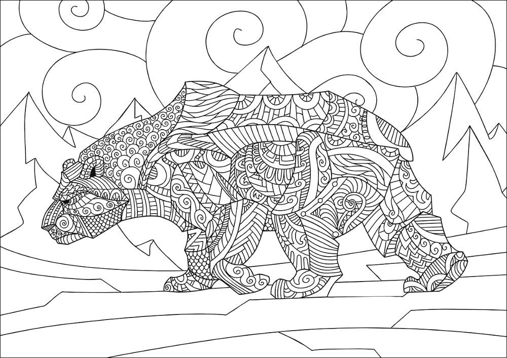 Desenho de Urso Polar para colorir