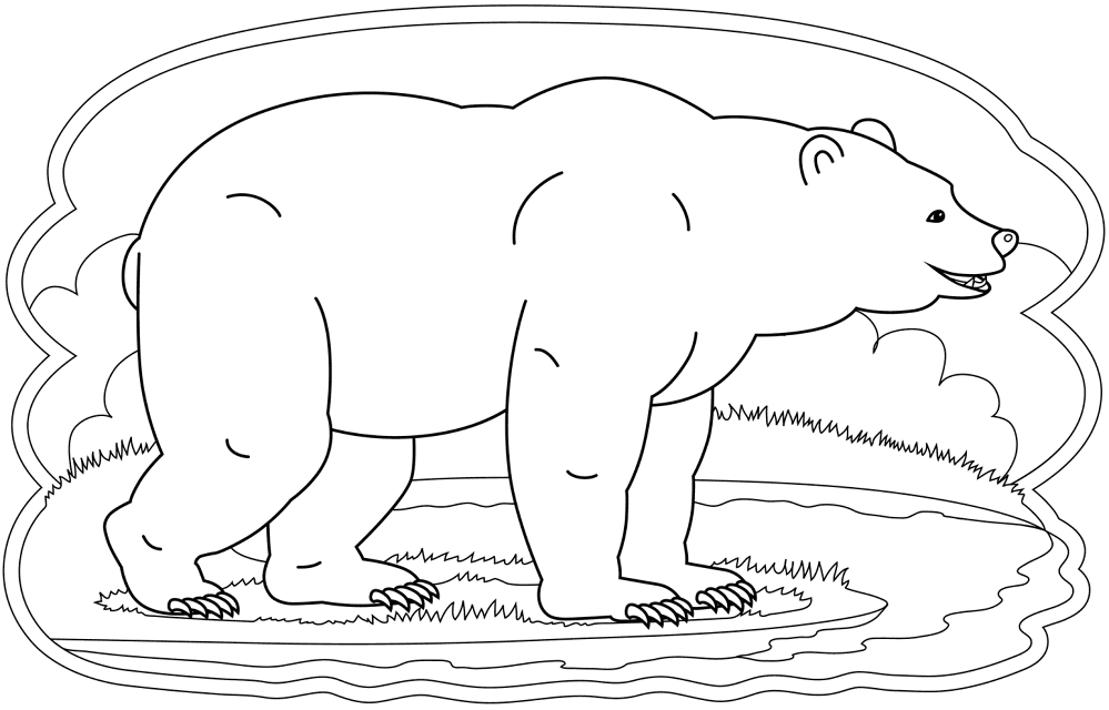 Desenho de Ursos para colorir e imprimir: número 5
