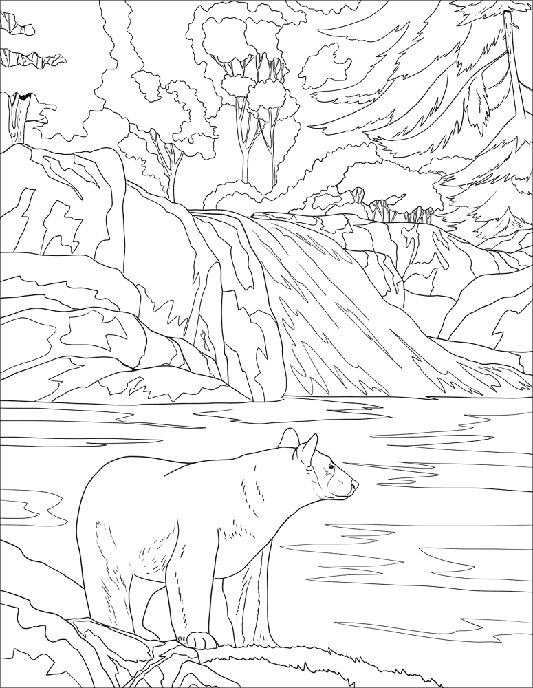 Desenho de Ursos para colorir e imprimir: número 13