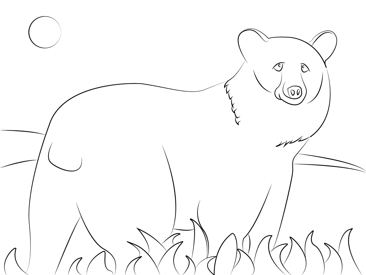 Desenho de Ursos para colorir e imprimir: número 14