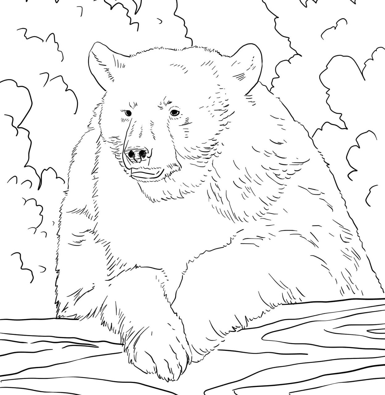 Desenho de Ursos para colorir e imprimir: número 16