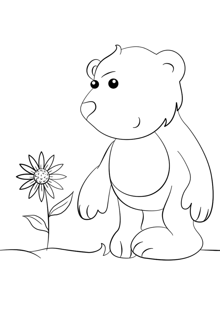 Desenho de Ursos para colorir e imprimir: número 32