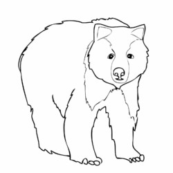 Desenho de Ursos para colorir e imprimir: número 34