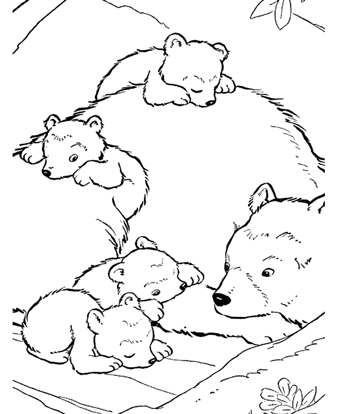 Desenho de Ursos para colorir e imprimir: número 36