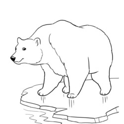 Desenho de Ursos para colorir e imprimir: número 38