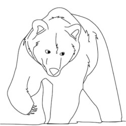Desenho de Ursos para colorir e imprimir: número 39