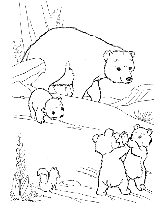 Desenho de Ursos para colorir e imprimir: número 40