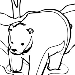Desenho de Ursos para colorir e imprimir: número 43