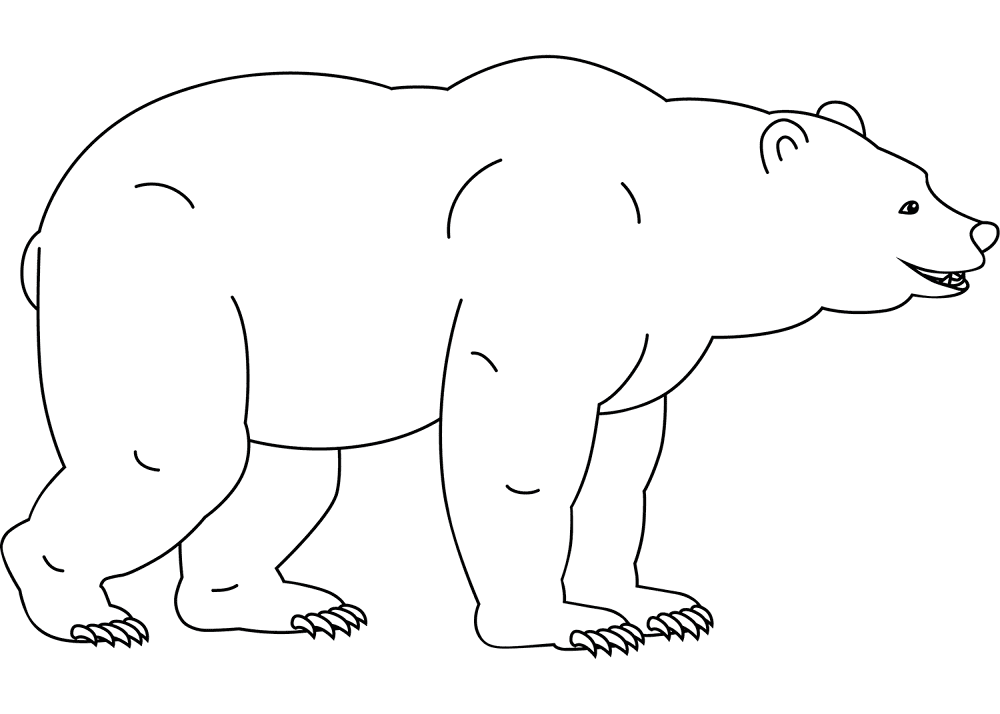 Desenho de Ursos para colorir