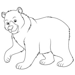 Desenho de Ursos para colorir