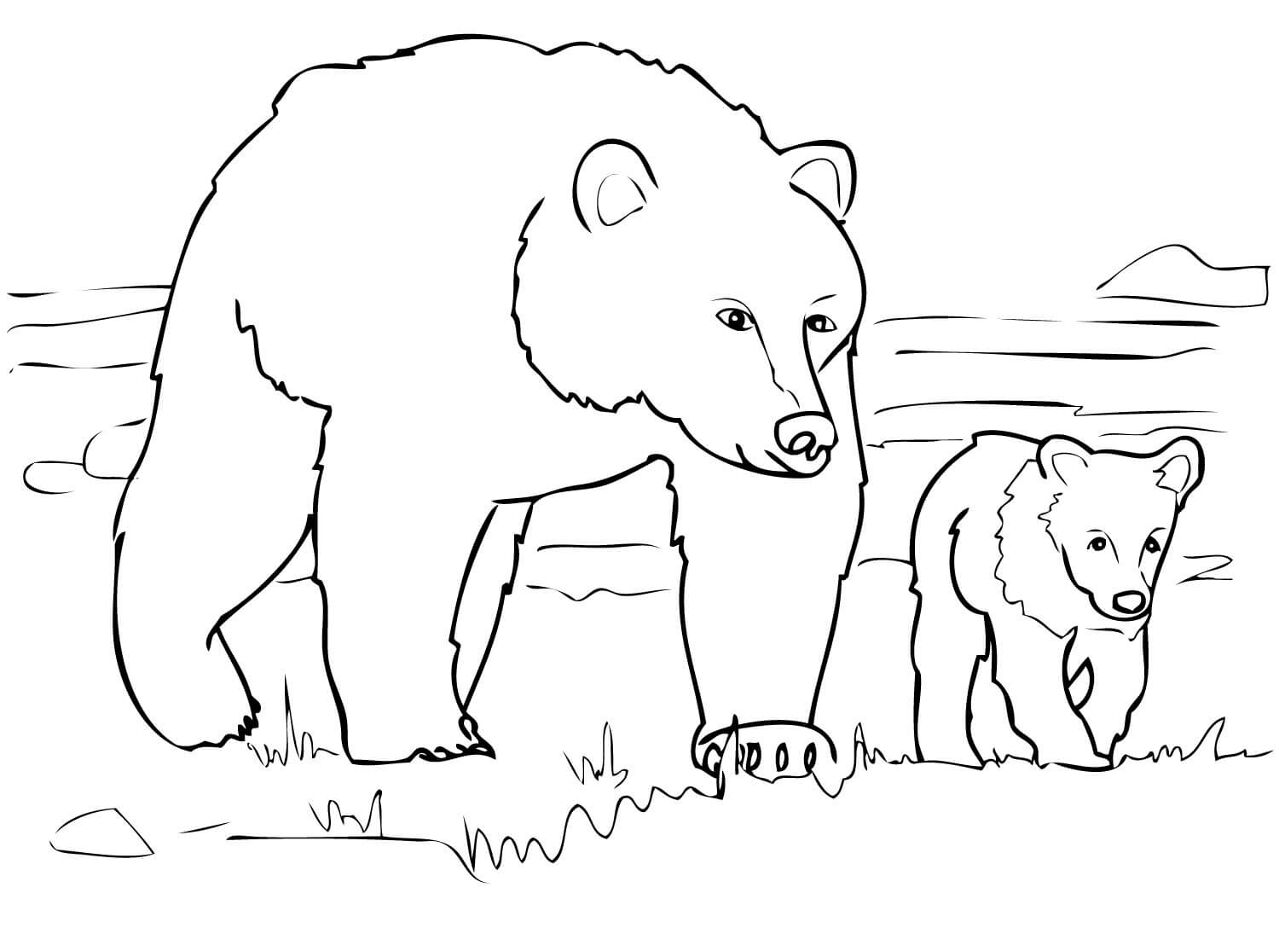 Desenho de Ursos Pardos para colorir e imprimir: número 3