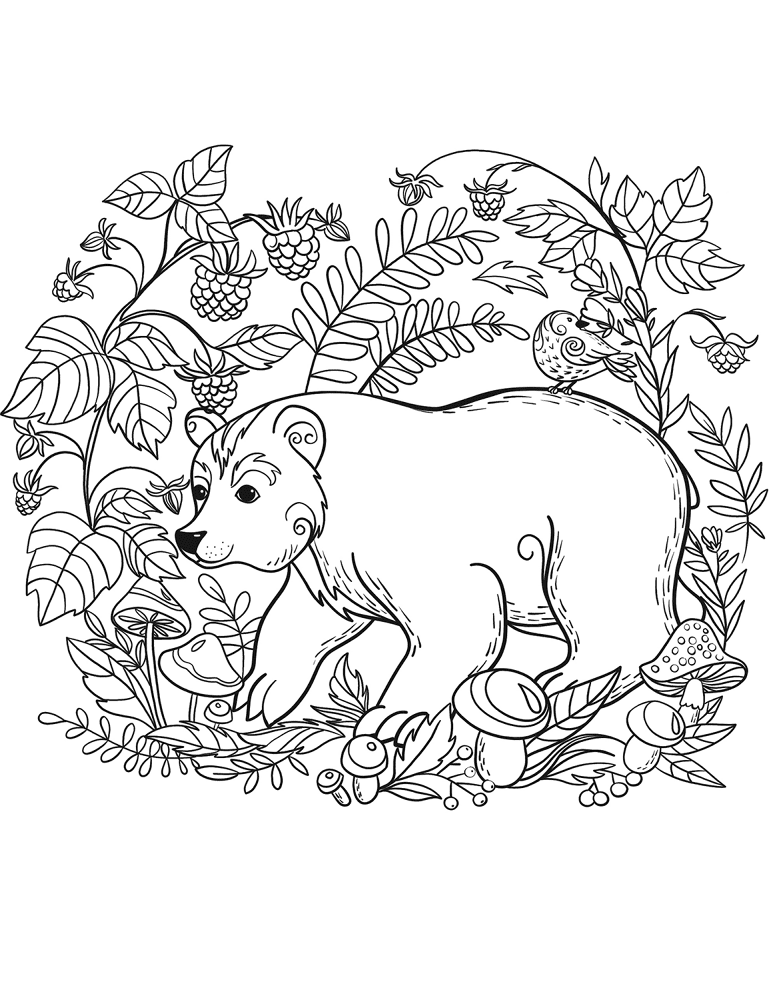 Desenho de Ursos Pardos para colorir e imprimir: número 6
