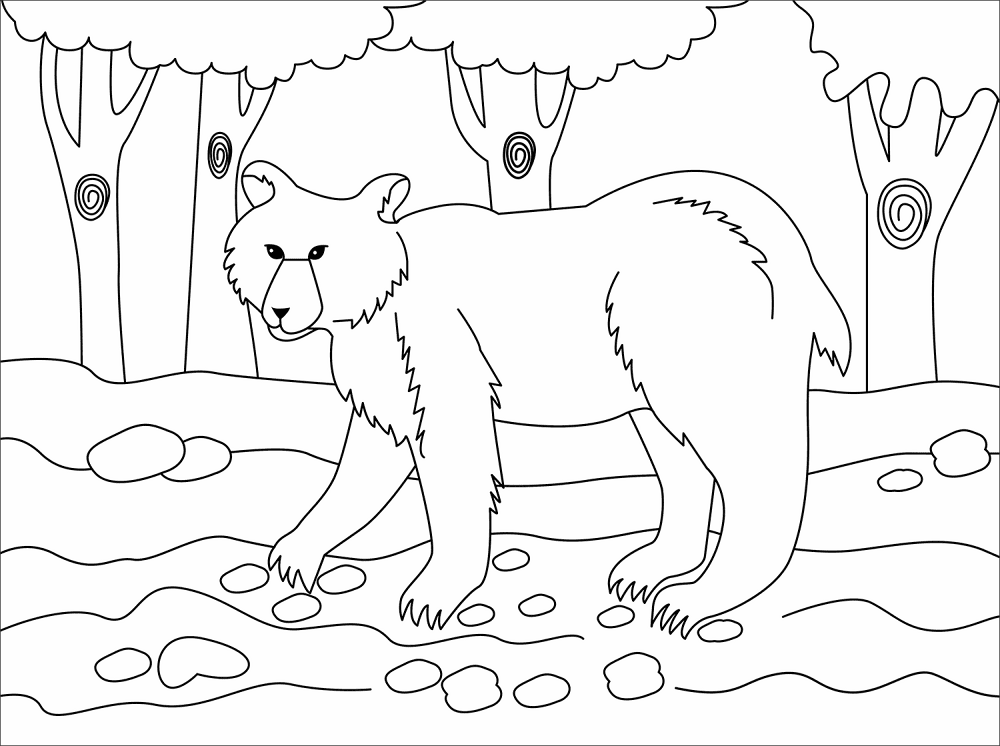 Desenho de Ursos Pardos para colorir e imprimir: número 7