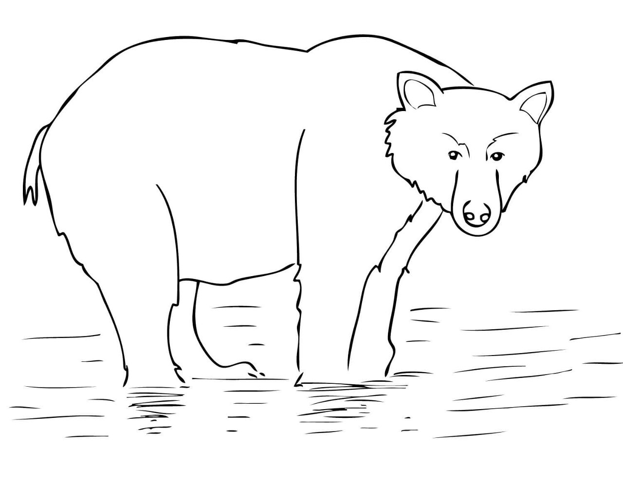 Desenho de Ursos Pardos para colorir e imprimir: número 8