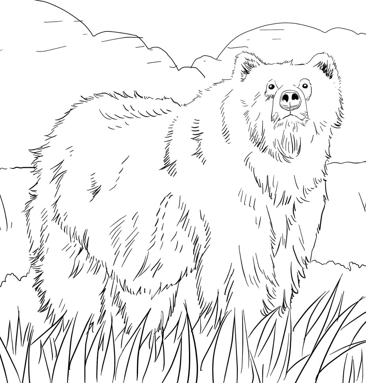 Desenho de Ursos Pardos para colorir e imprimir: número 9