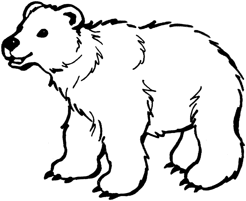Desenho de Ursos Pardos para colorir e imprimir: número 10