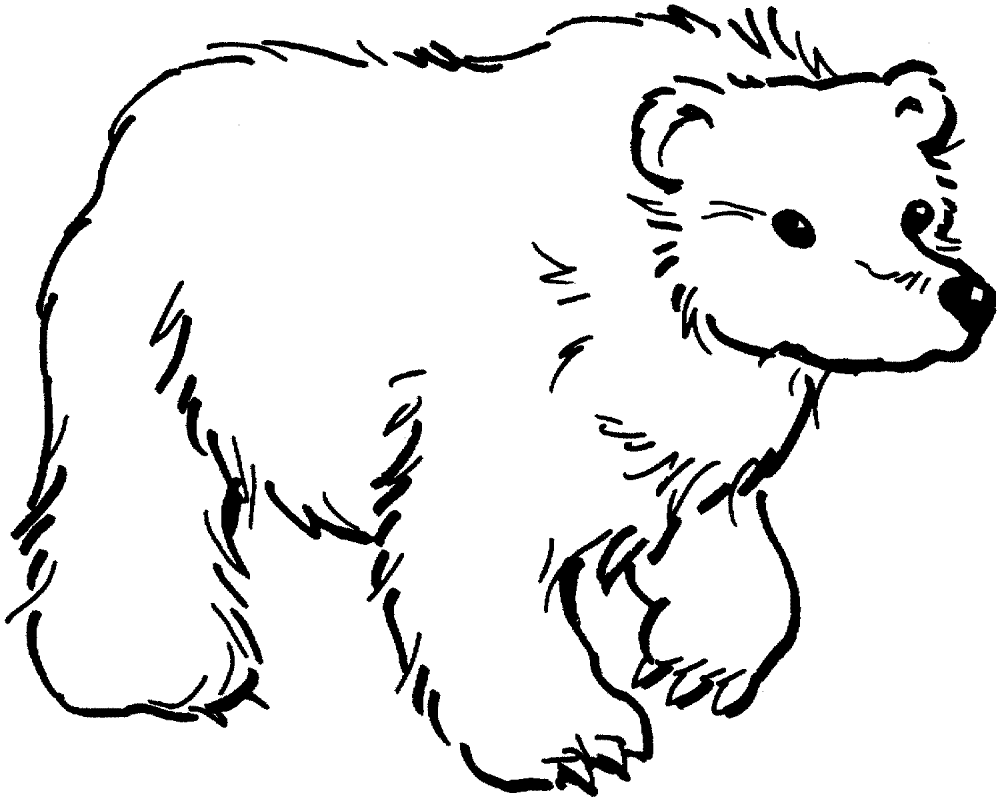 Desenho de Ursos Pardos para colorir e imprimir: número 11