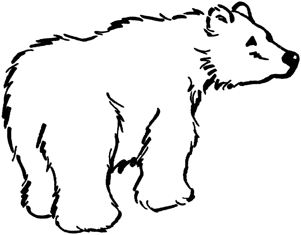 Desenho de Ursos Pardos para colorir e imprimir: número 12