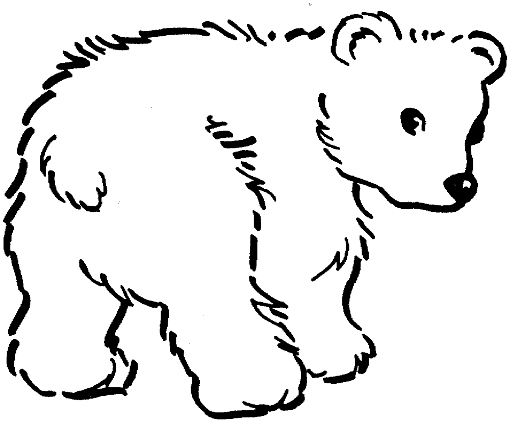 Desenho de Ursos Pardos para colorir e imprimir: número 15