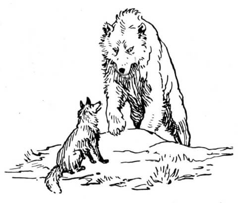 Desenho de Ursos Pardos para colorir e imprimir: número 16
