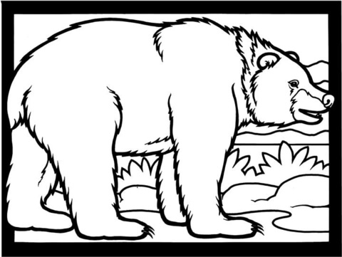 Desenho de Ursos Pardos para colorir e imprimir: número 20