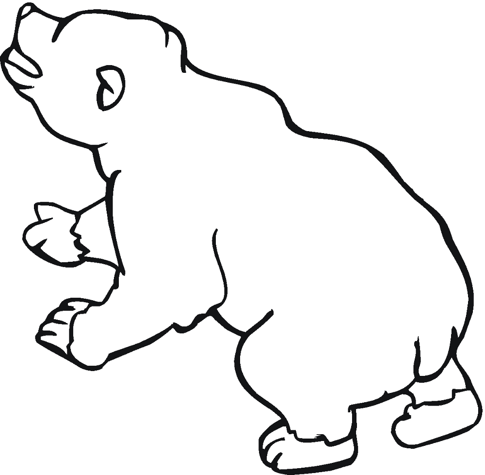 Desenho de Ursos Pardos para colorir e imprimir: número 24